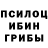 Галлюциногенные грибы Magic Shrooms Stanislav Tuchkovskyi