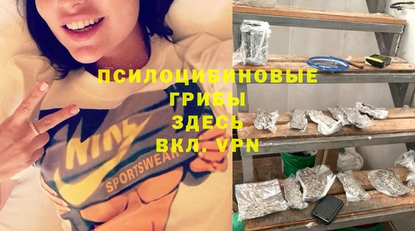 трава Бронницы