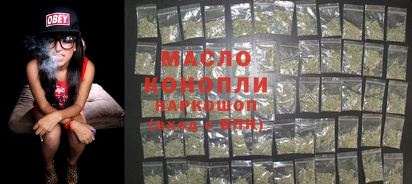 МДПВ Бородино