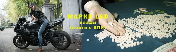 МДПВ Бородино