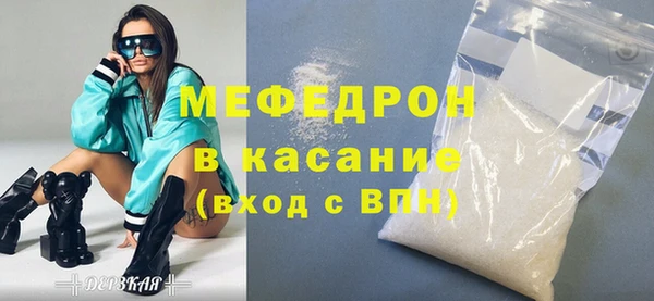 МДПВ Бородино
